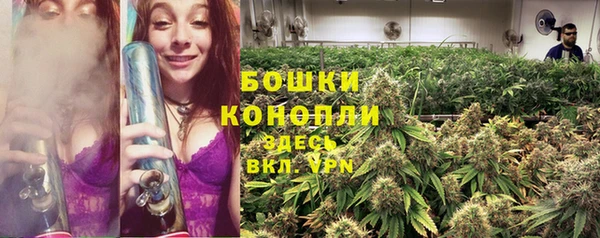 гашик Михайловск