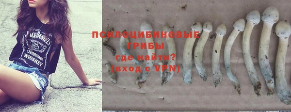 бошки Михайлов