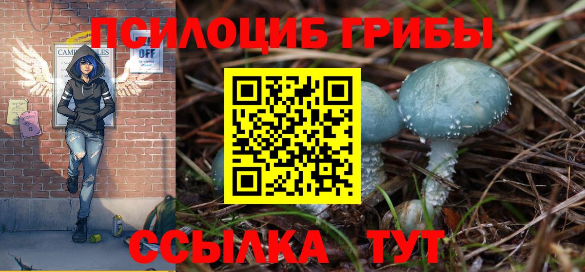 Моршанск  Галлюциногенные грибы Psilocybine cubensis  Вход с VPN 